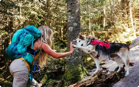 Trail & Travel Gear
